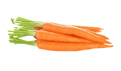 Морковь Россия