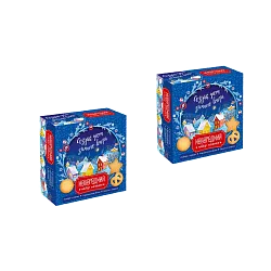 REGNUM Новогодний набор печенье в коробке 324г