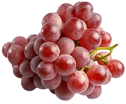 Виноград Red Globe
